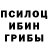 Галлюциногенные грибы мицелий Ray Bradbur