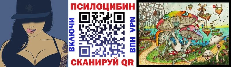 продажа наркотиков  Вологда  Галлюциногенные грибы Cubensis 