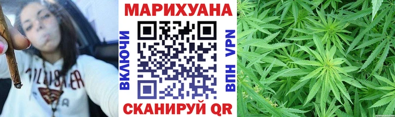 купить   Вологда  Бошки Шишки планчик 